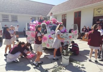 Pienk Bome vir Pauline