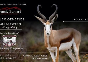 SPRINGBOK-JAGKOMPETISIE