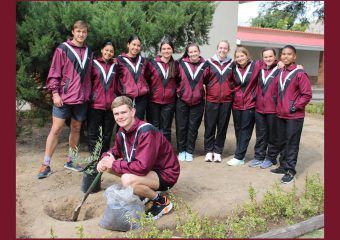 Nasionale Boomplantdag