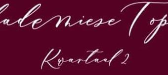 Akademie Top 10 2de kwartaal