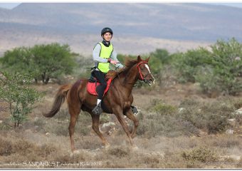 debeer uithourit Graaff-Reinet Camdeboo Uithourit