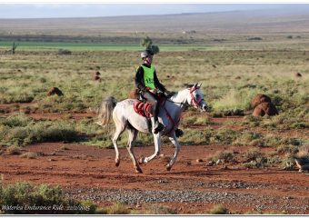 uithourit1 Uithourit