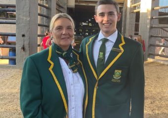 perdry vsa Internasionale Saalperd-kompetisie