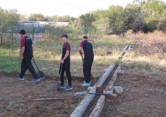 graad 10 groenteprojek Graad 10 Groenteprojek