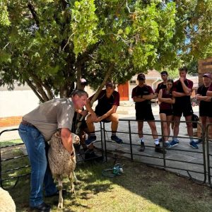 veehanterings Veehanteringskursus